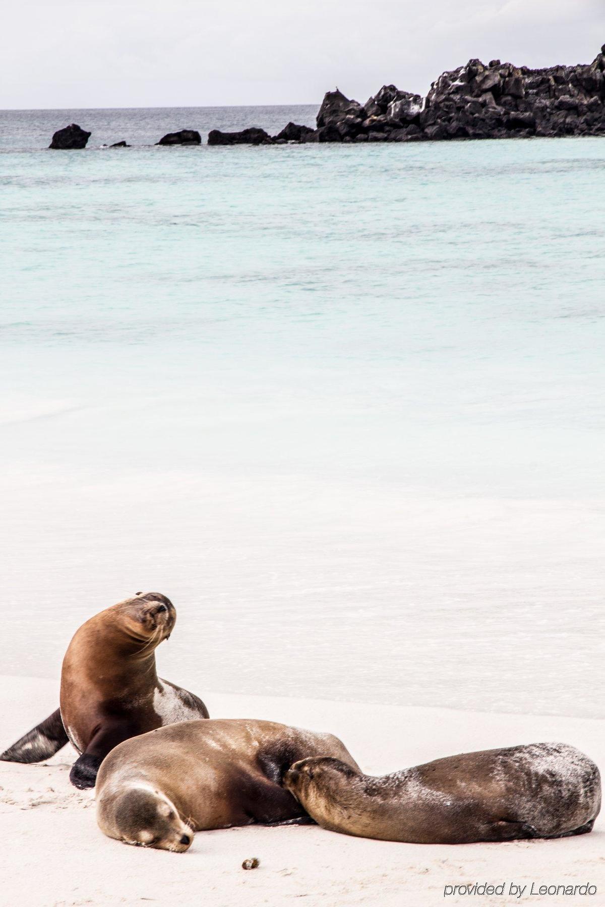 Finch Bay Galapagos Hotel Puerto Ayora  Eksteriør bilde
