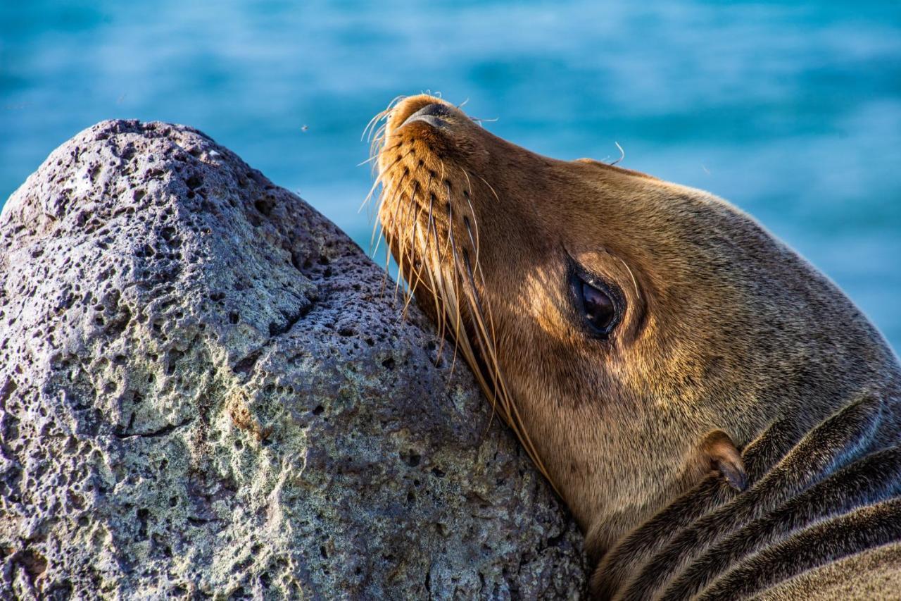 Finch Bay Galapagos Hotel Puerto Ayora  Eksteriør bilde
